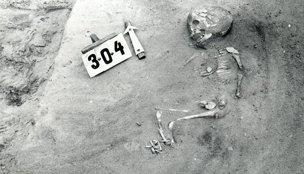 Skeleton discovered on Młynówka (Mill Hill)