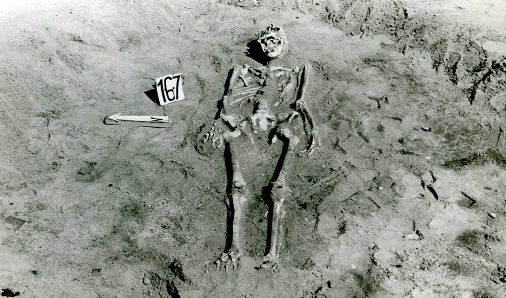Skeleton discovered on Młynówka (Mill Hill)